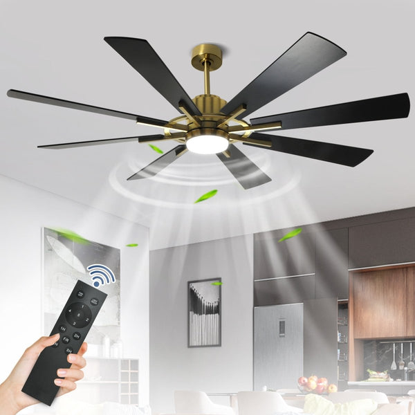 Depuley 60 Large Ceiling Fan with Light