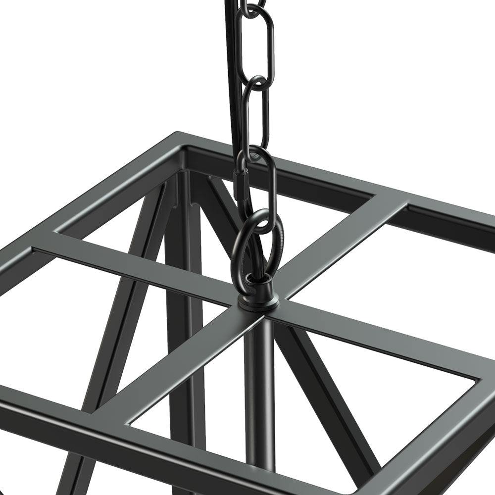 Industrial black retailer pipe cage lamp with switch/