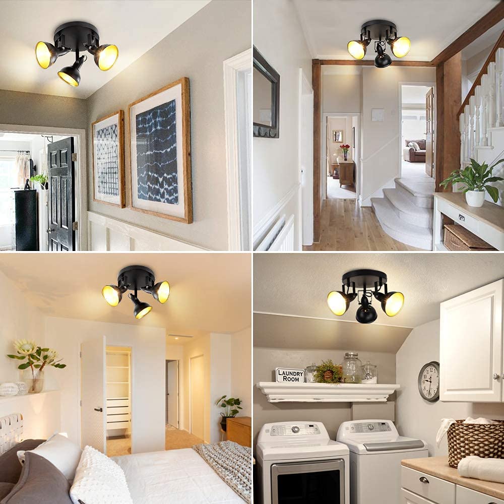 Ceiling fan with store track lighting