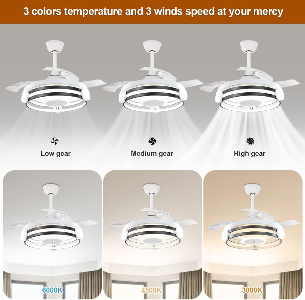 Depuley Modern Ceiling Fan with Light and Remote, 30W LED